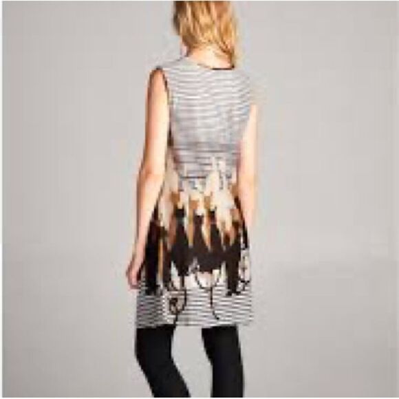 NWT LaVie Lente Cozy Cat Placement Shift Dress Sz S - Picture 2 of 13
